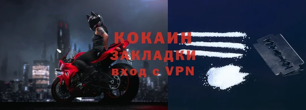 прущие грибы Покровск