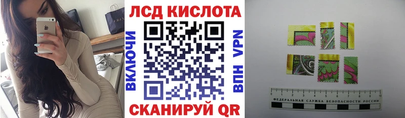 закладки  Дубовка  Марки NBOMe 1500мкг 
