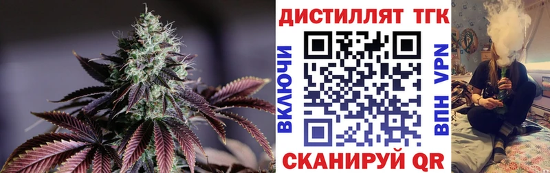 купить   Дубовка  ТГК гашишное масло 