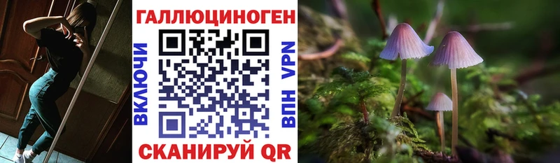 Галлюциногенные грибы Cubensis  hydra маркетплейс  Дубовка  купить закладку 
